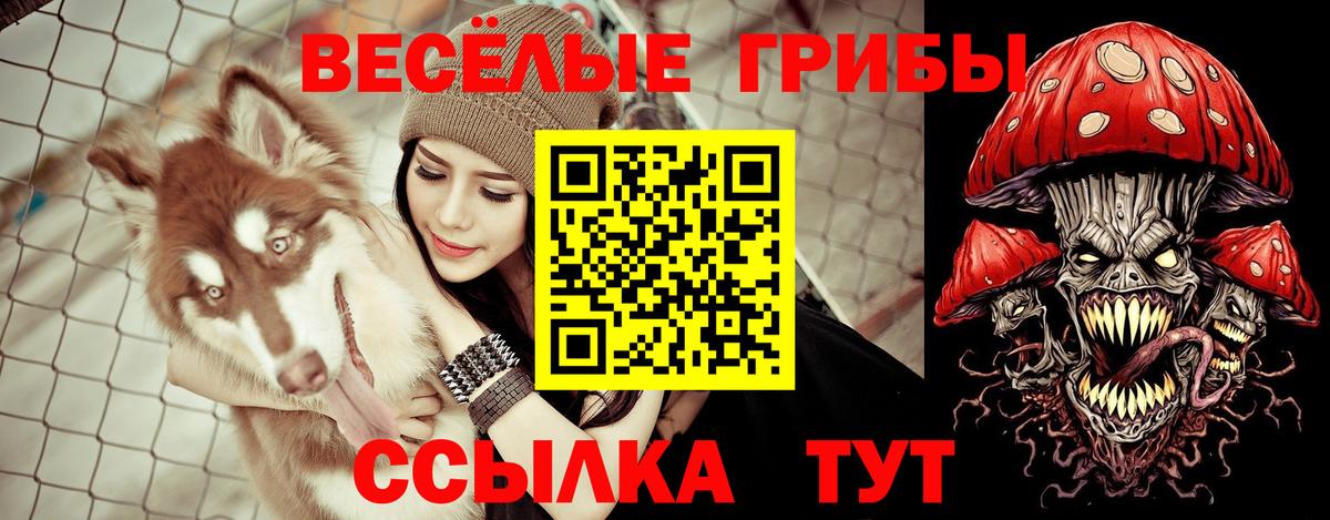 Псилоцибиновые грибы мухоморы  Псилоцибиновые грибы MAGIC MUSHROOMS  Вход с VPN  Шали 